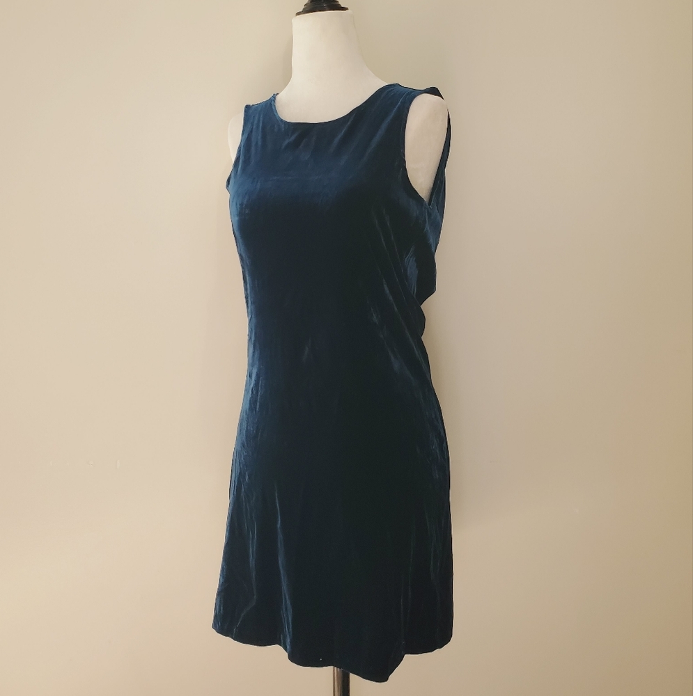 Revolve Feel The Piece Silk Blend Velvet Low Back Mini Dress